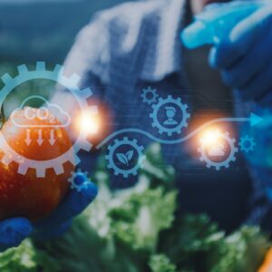 Formazione HACCP Addetti al settore alimentare